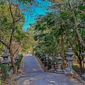 旗山特色公園 (34).jpg