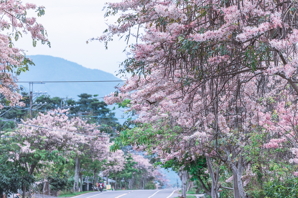 竹仔門發電廠