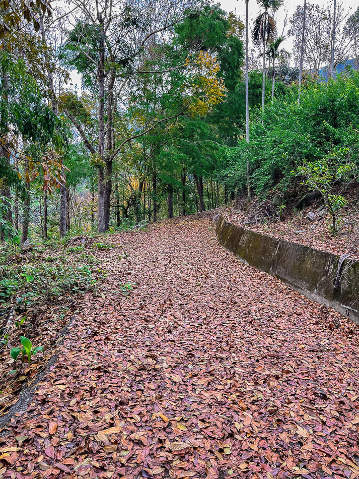 高雄露營賴家古厝 (36).jpg