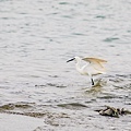 彌陀寮漁港海岸光廊 (7).jpg