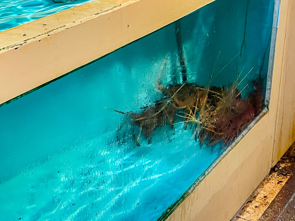 恆春美食 - 浚熱炒海鮮火鍋土雞料理 (16).jpg