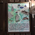 高雄泥岩惡地地質公園 (44).jpg