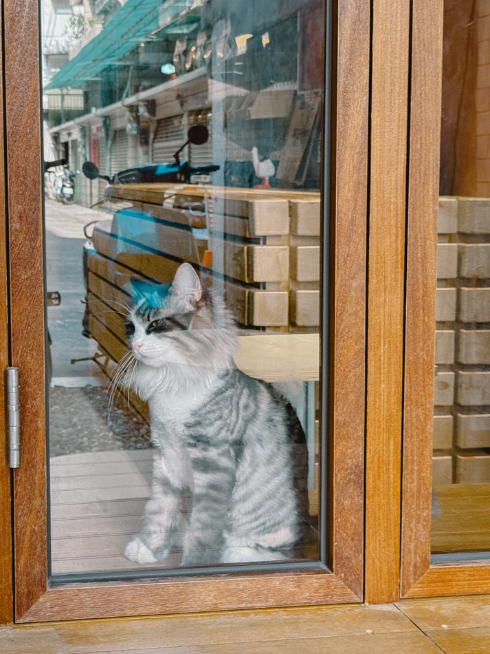 OTTER CAFE 獺咖啡 武廟店 (4).jpg