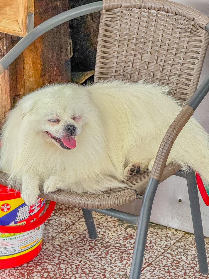 鹽埕美食 - 阿忠虱目魚粗米粉店狗 鹽埕美食 - 阿忠虱目魚粗米粉店狗