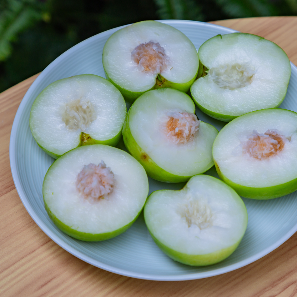 高雄蜜棗/靜園農場幸福蜜棗