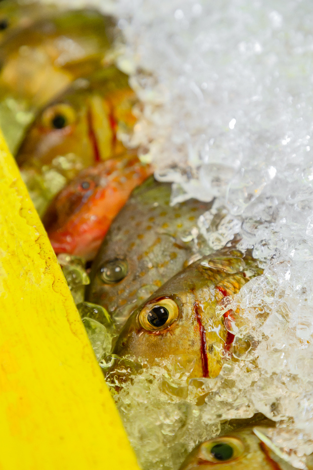 討海人海產-恆春必吃生魚片道地海鮮平價生魚片必吃海鮮活海鮮推薦在地推薦海鮮 (3).jpg