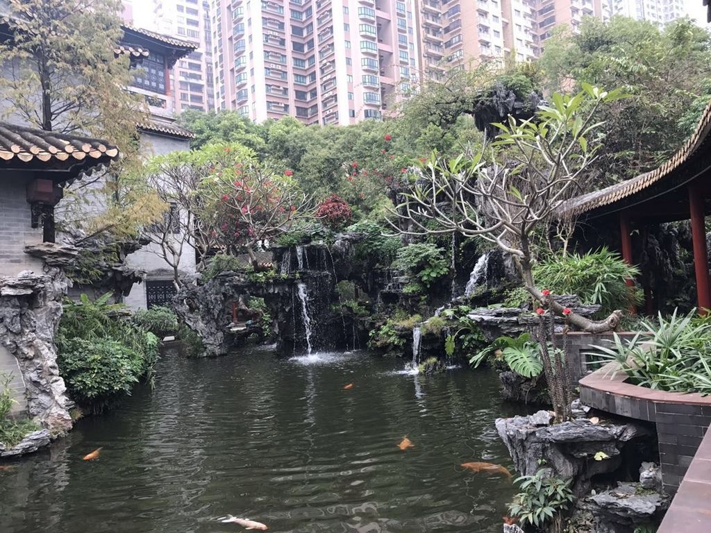 中午-清暉園.毛澤東時期 (82).jpg 中午-清暉園.毛澤東時期 (82).jpg