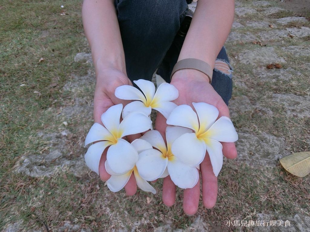 Fort San Pedro 宿霧景點推薦 (4).jpg Fort San Pedro 宿霧景點推薦 (4).jpg