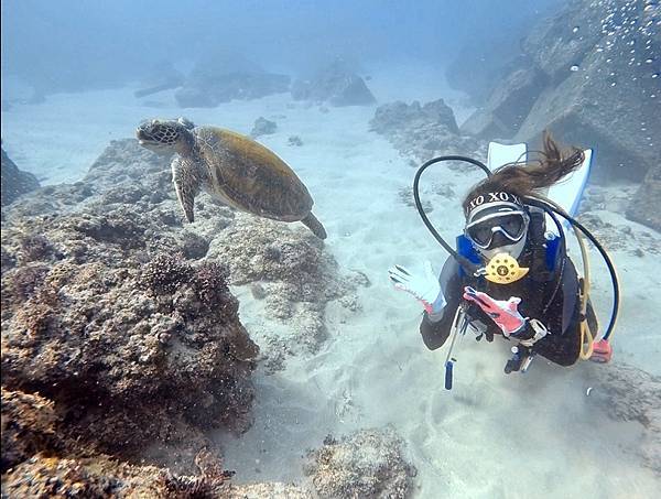 後壁湖出水口右側海龜.梭魚群 (7).jpg