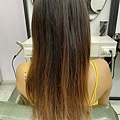 V PLUS HAIR染護前布丁頭手損髮質 (2).jpg