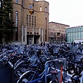 京都大学と自転車