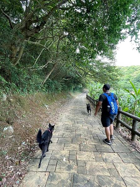 新北石門茶山步道