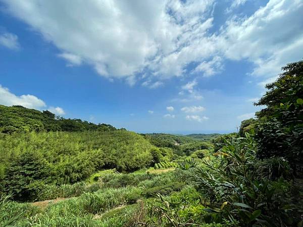 新北石門茶山步道