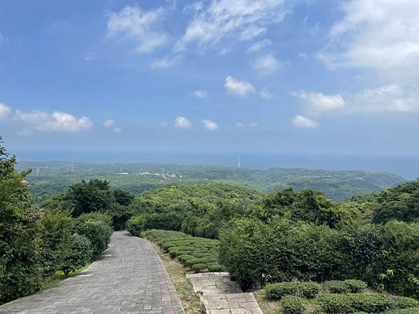 新北石門茶山步道