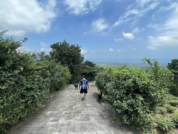 新北石門茶山步道