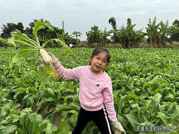 【台南景點】蘇大俠親子農場~嘿呦嘿呦拔蘿蔔，拔起了童話故事的