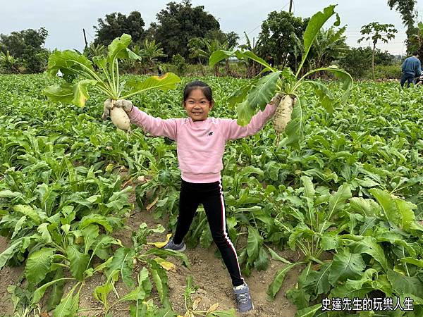 【台南景點】蘇大俠親子農場~嘿呦嘿呦拔蘿蔔，拔起了童話故事的