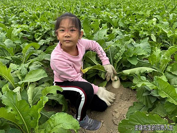 【台南景點】蘇大俠親子農場~嘿呦嘿呦拔蘿蔔，拔起了童話故事中