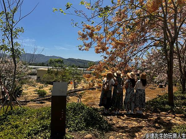【台南景點】玉井一日遊~芒果只是藉口，(玥園思親步道/黃金蕎