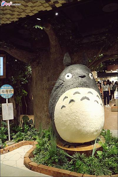 IMG_1159.JPG IMG_1159.JPG