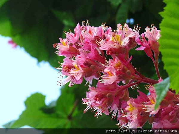 IMG_6346 IMG_6346