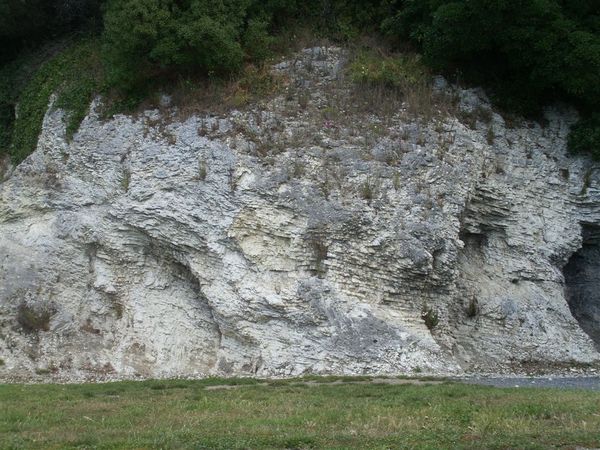 PICT1359-Extremely complex folding structures in an outcrop at Kaikoura.JPG