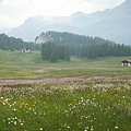 PICT2559-Val Fex, Ober Engadin(20070625).JPG