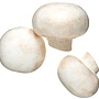 White-Button-Mushrooms.jpg