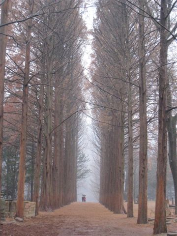 冬季戀歌 一景 