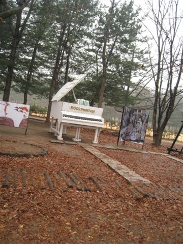 樹林的的鋼琴