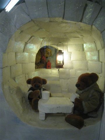 泰迪熊博物館*北極熊
