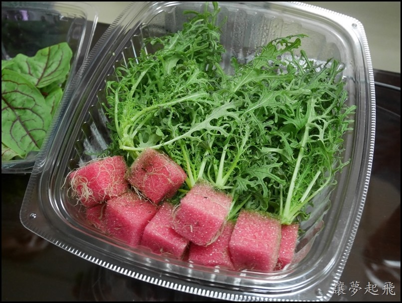 食譜 芝麻葉蛋捲 簡單的美味 一秒變大廚 讓夢起飛 痞客邦