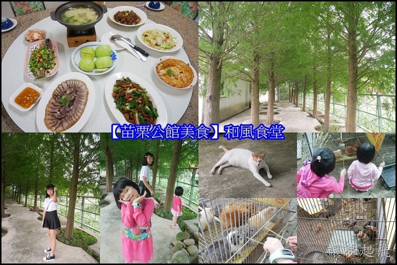 【苗栗公館美食】和風食堂~道地的客家料理、美麗的落羽松,全部一次滿足!