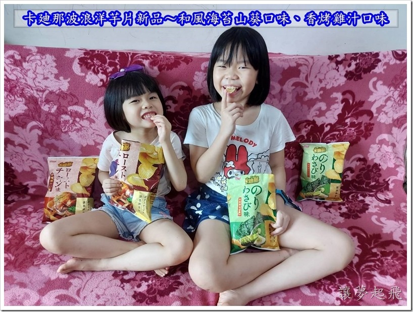 【防疫居家必屯零食】卡廸那波浪洋芋片新品~和風海苔山葵口味、香烤雞汁口味,零食區的新焦點