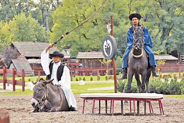 匈牙利馬術表演