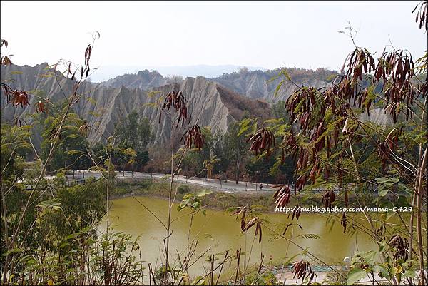 田寮、燕巢9.JPG