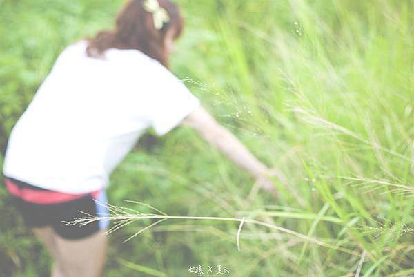 IMG_8703 IMG_8703