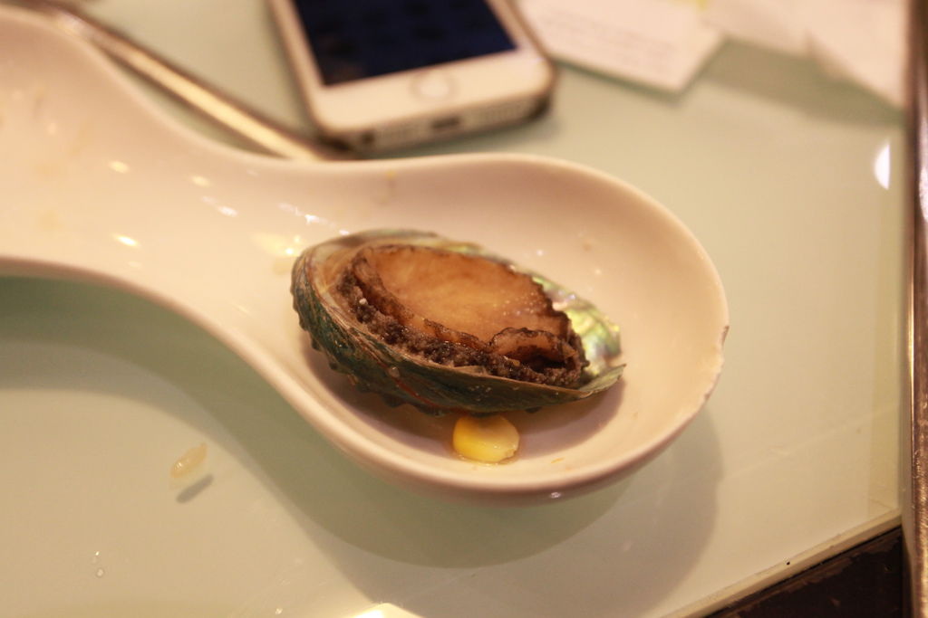 IMG_8413.JPG IMG_8413.JPG