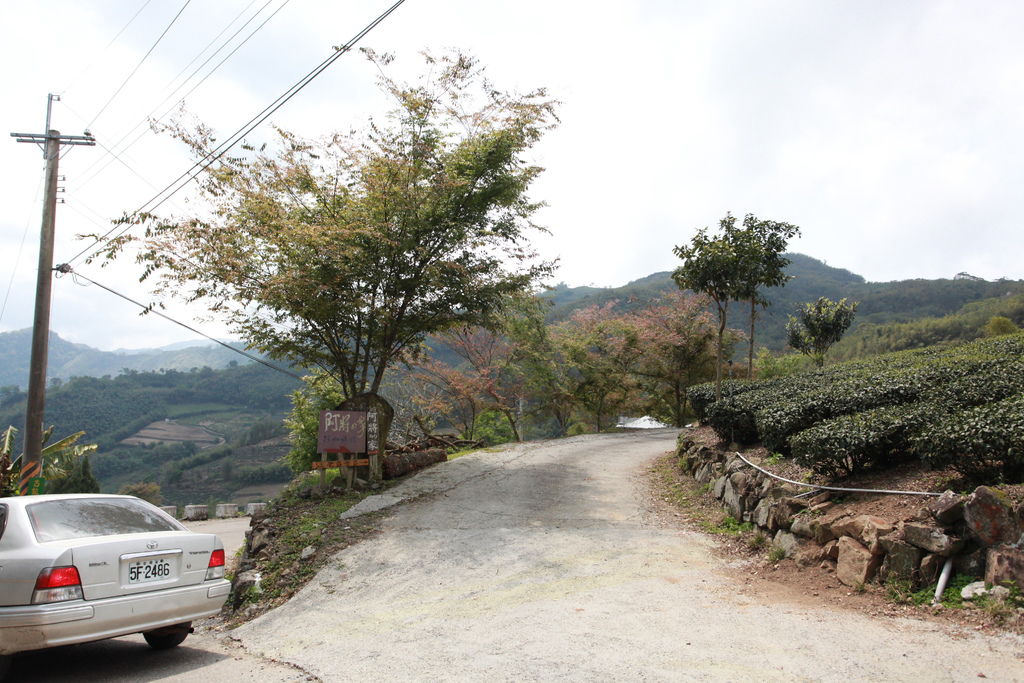 IMG_0053.JPG IMG_0053.JPG