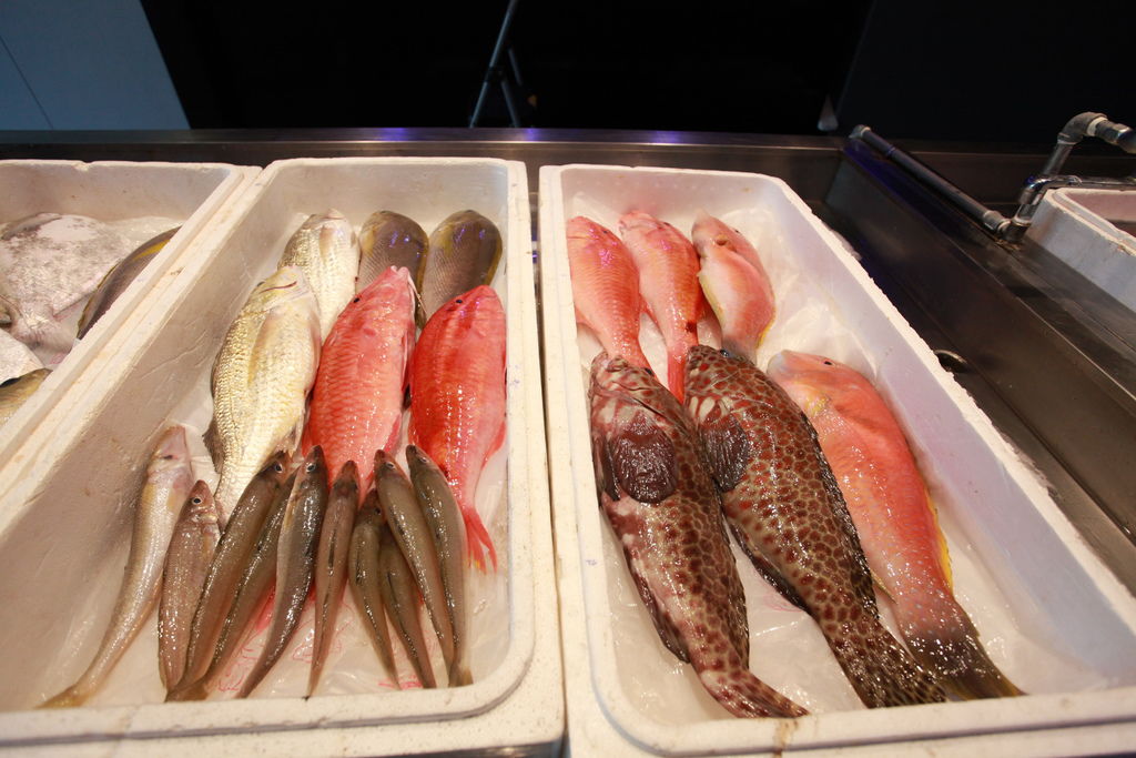 台南安平區美食 吃 台南 安平 新鮮海產 生魚片 丸傑水產餐廳 海鮮火鍋 台南美食地圖 玩樂誌 台南安平區美食 吃 台南 安平 新鮮海產 生魚片 丸傑水產餐廳 海鮮火鍋 台南美食地圖 玩樂誌