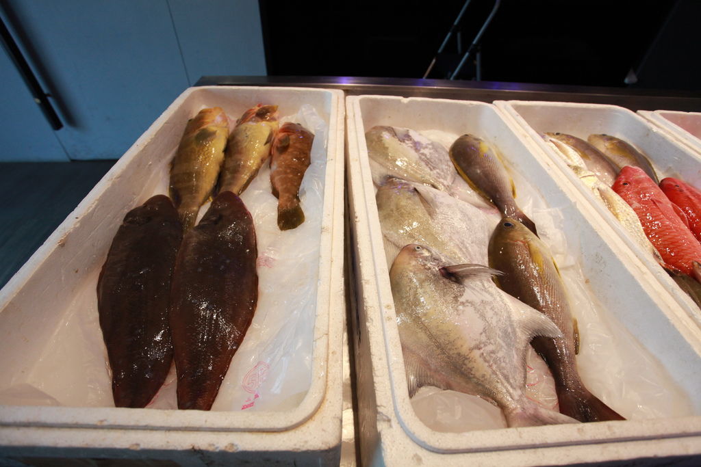 台南安平區美食 吃 台南 安平 新鮮海產 生魚片 丸傑水產餐廳 海鮮火鍋 台南美食地圖 玩樂誌 台南安平區美食 吃 台南 安平 新鮮海產 生魚片 丸傑水產餐廳 海鮮火鍋 台南美食地圖 玩樂誌