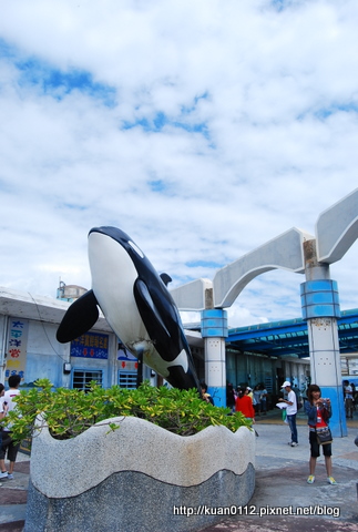 DSC_4834.JPG DSC_4834.JPG