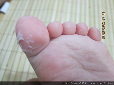 照片 182 照片 182