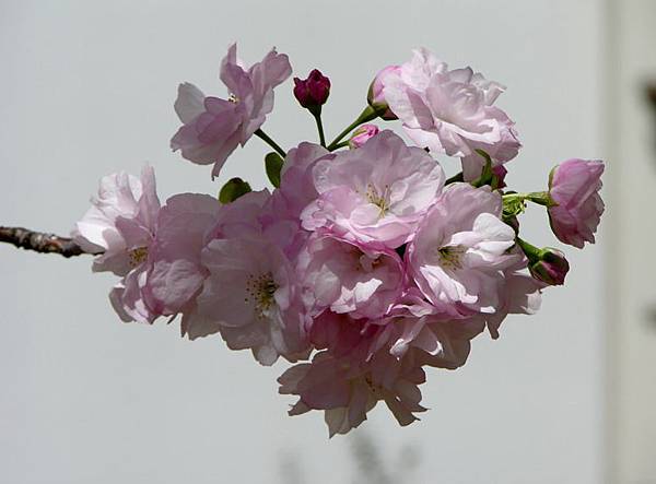 m43.jpg m43.jpg