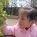 20100113.jpg