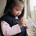 20100121.jpg