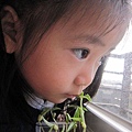 20100121-2.jpg