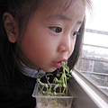 20100121-3.jpg