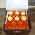 990228-17.JPG