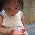 ap_F23_20100821055124618.jpg
